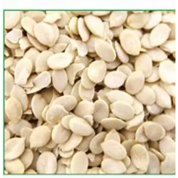 Fresh Watermelon Kernel